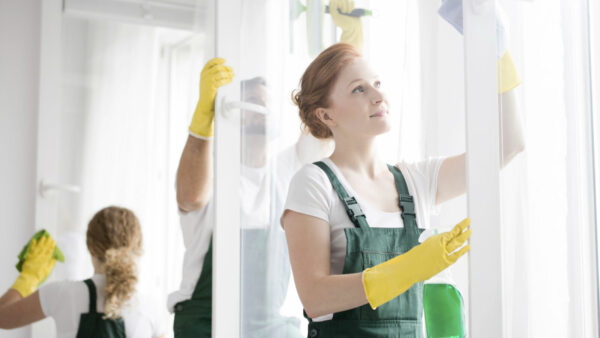 WC reiniging en alle sanitair