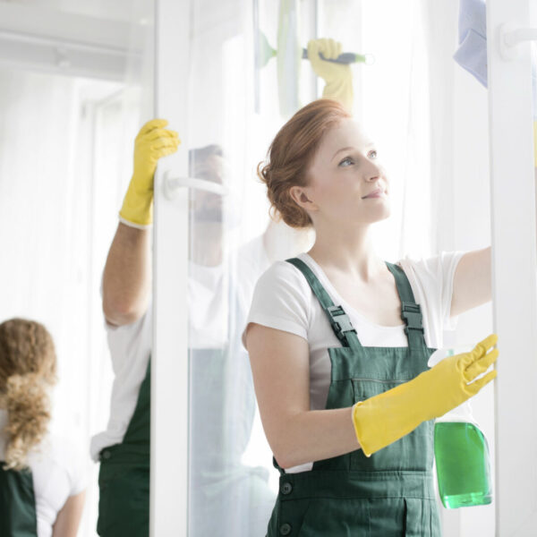 WC reiniging en alle sanitair
